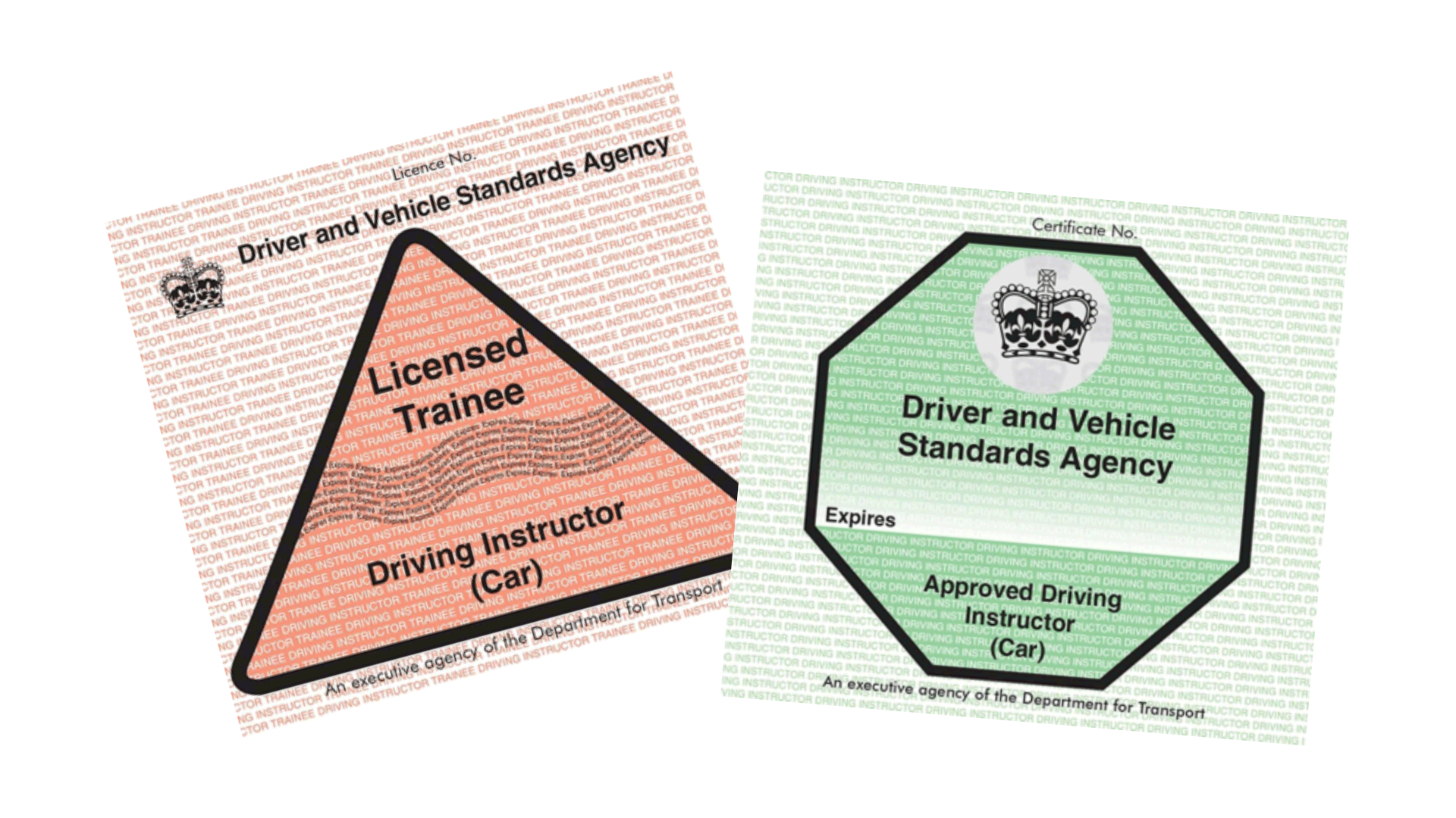 Official DVSA Driving Instructor Badges